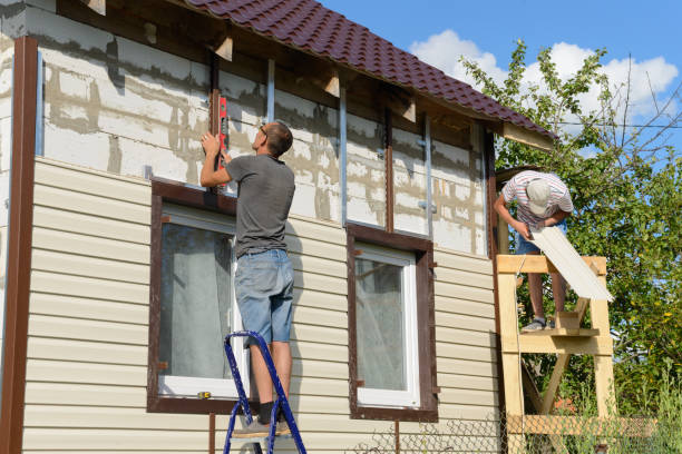 Affordable Siding Repair and Maintenance Services in Wasilla, AK