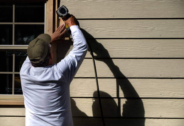 Best Custom Siding Design  in Wasilla, AK