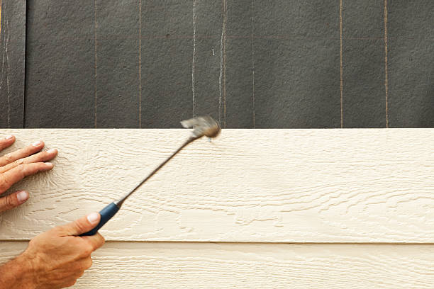 Best Fiber Cement Siding Installation  in Wasilla, AK